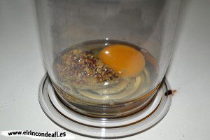 Ensalada alemana, poner en un vaso mostaza antigua, un huevo y una pizca de sal