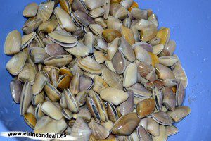 Coquinas, escurrirlas