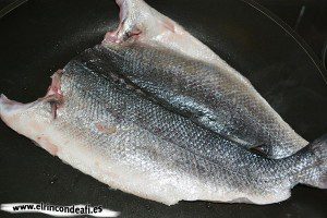 Lubina a la espalda, poner sobre sartén con una gotita de aceite con la piel para arriba