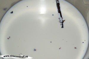 Pastel vasco, calentar la leche con las semillas de vainilla