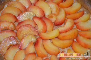 Tarta de ciruelas rojas, rellenar el fondo con gajos de ciruelas