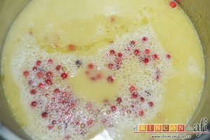 Ternera a la pimienta rosa, añadir el caldo de carne
