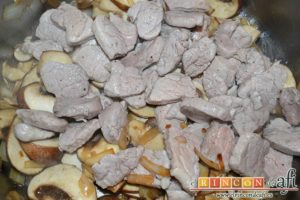 Tacos de solomillo de cerdo con salsa de champiñones Portobello, agregar el solomillo