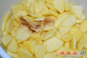 Tortitas de manzana, añadir canela molida